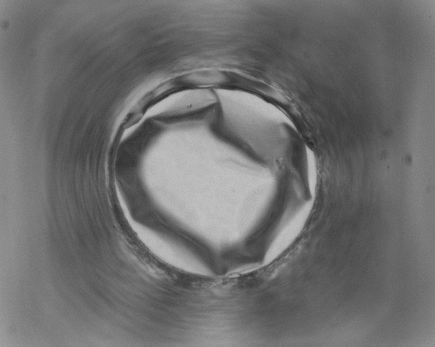 X0000068300148200605191952
