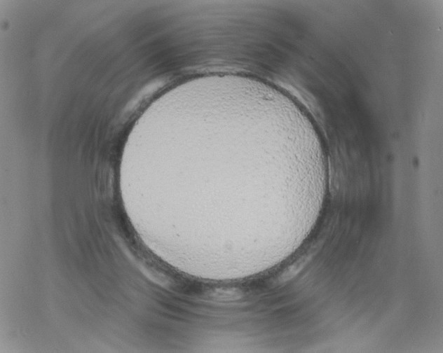 X0000068300157200605191952