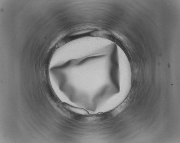 X0000068300158200605191952