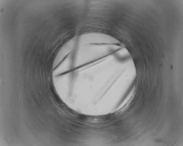 X0000068300174200605191952