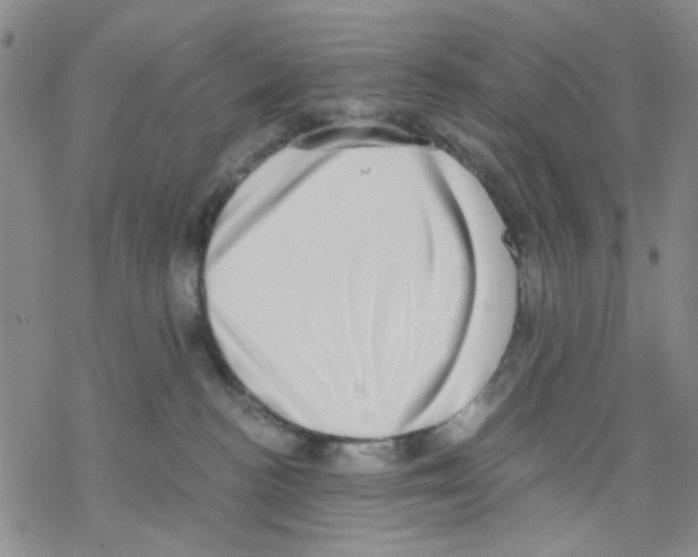 X0000068300188200605191952