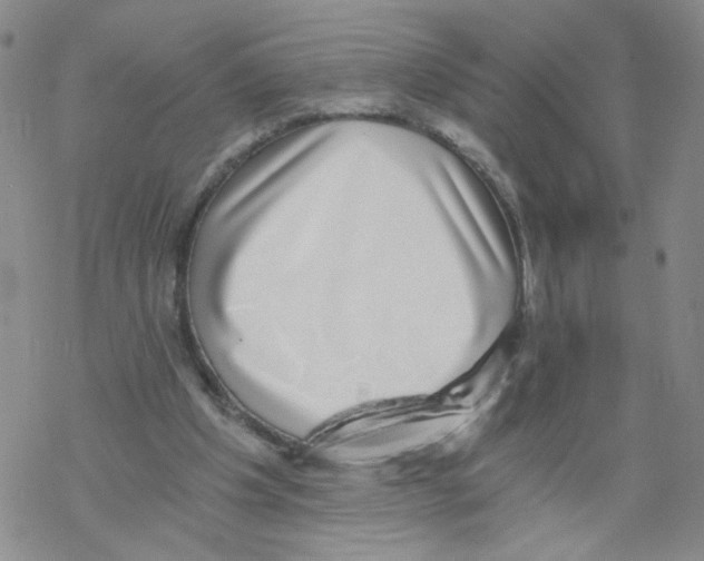 X0000068300201200605191951