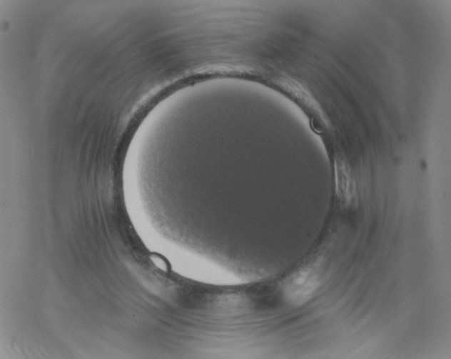 X0000068300204200605191951