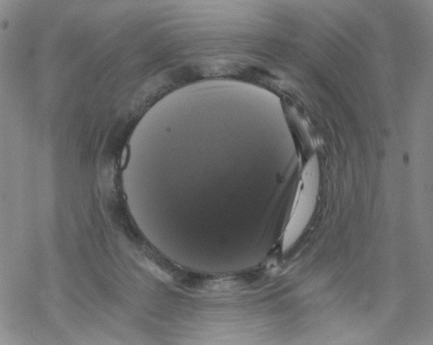 X0000068300219200605191951