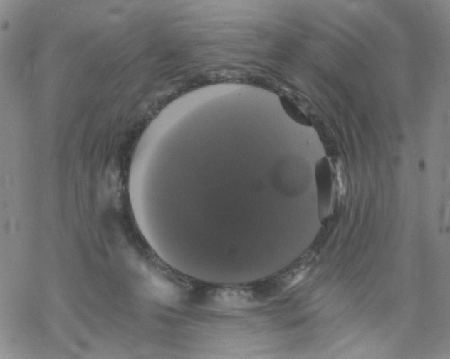 X0000068300223200605191951