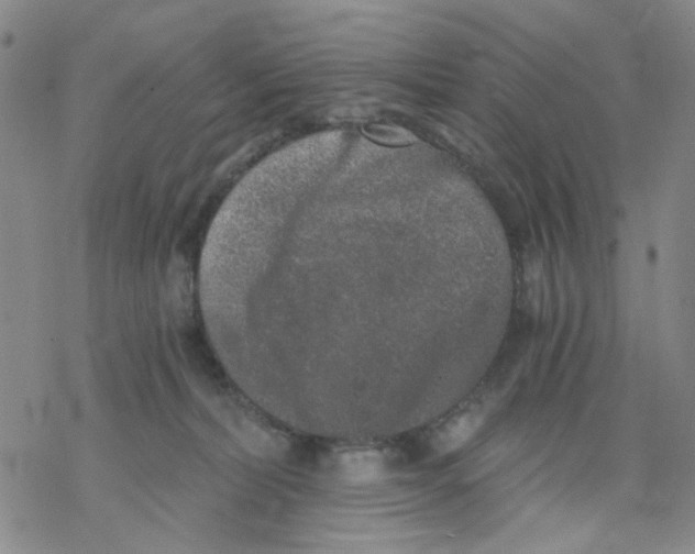 X0000068300228200605191951
