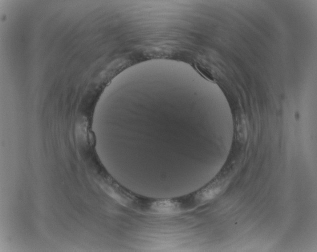 X0000068300231200605191951