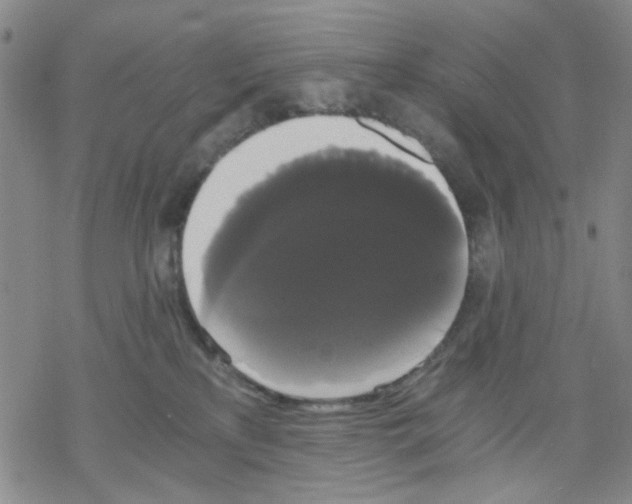 X0000068300233200605191951