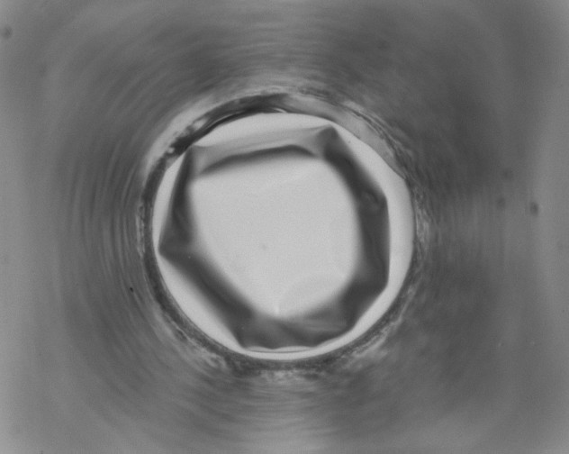 X0000068300244200605191950