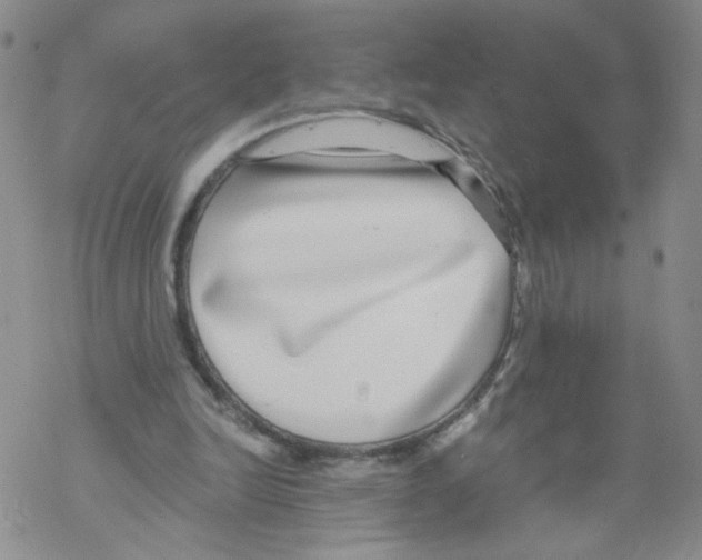 X0000068300246200605191950