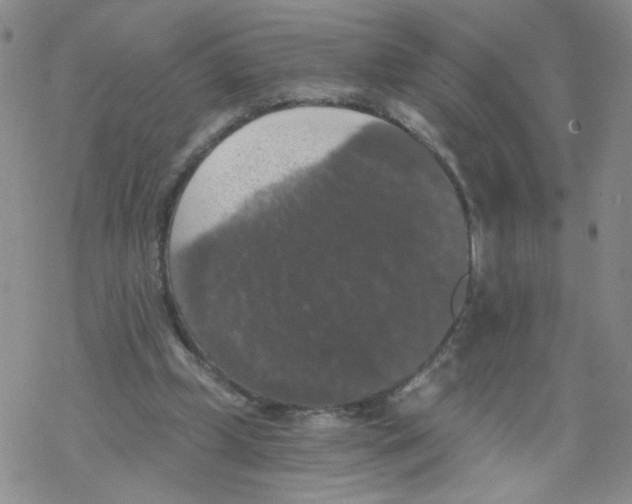 X0000068300249200605191950