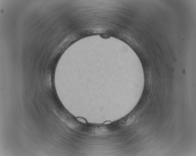 X0000068300262200605191950