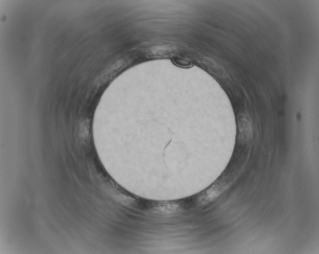 X0000068300278200605191951