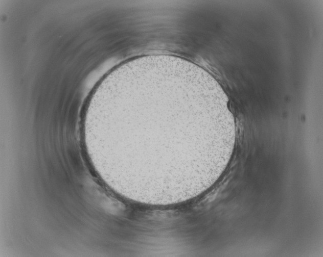 X0000068300292200605191950