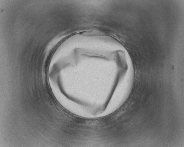 X0000068300294200605191950