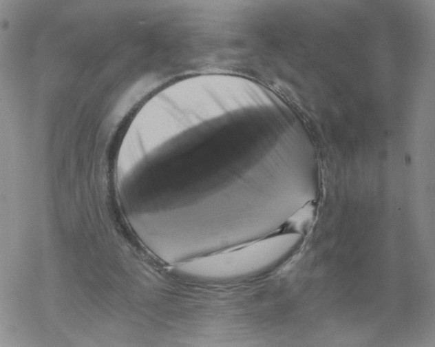 X0000068300295200605191950