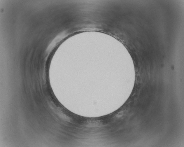 X0000068300296200605191950