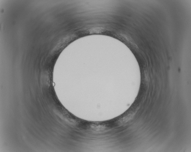 X0000068300311200605191950