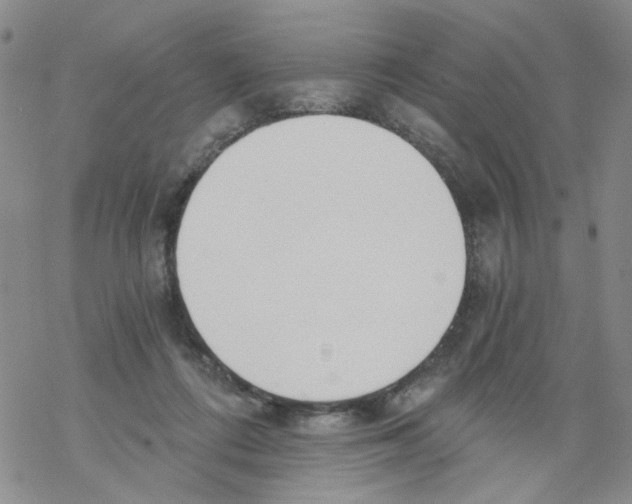 X0000068300312200605191950