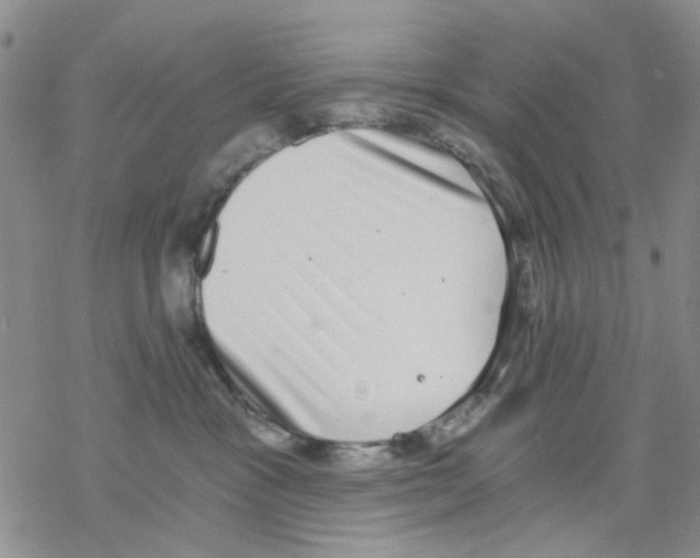 X0000068300333200605191949