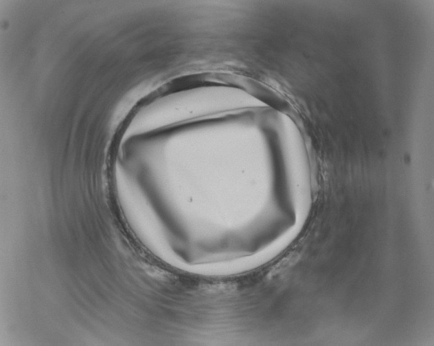 X0000068300340200605191948