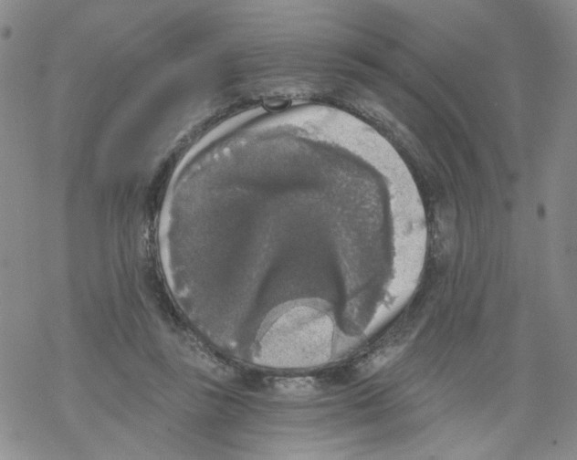 X0000068300355200605191949