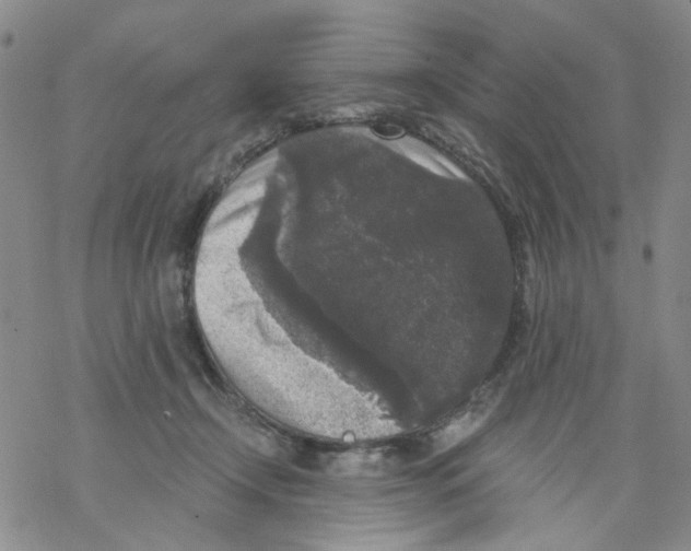 X0000068300366200605191949