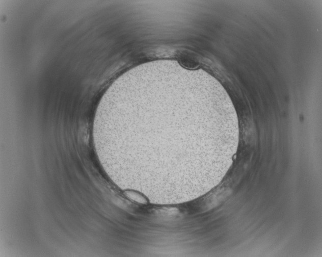 X0000068300374200605191949