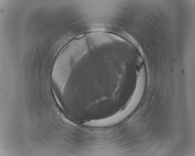 X0000068300385200605191948