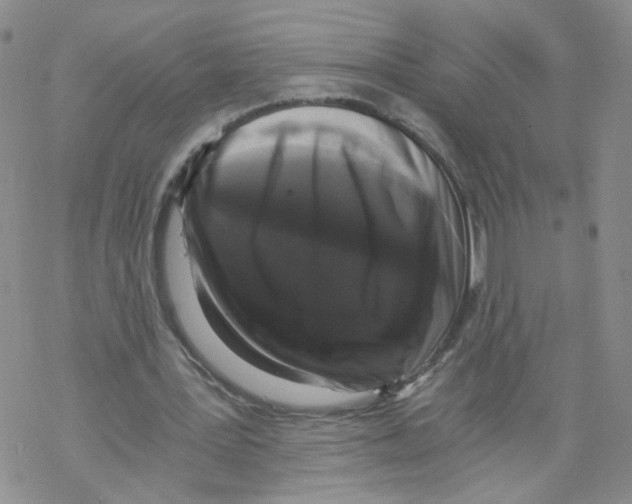 X0000068300387200605191948