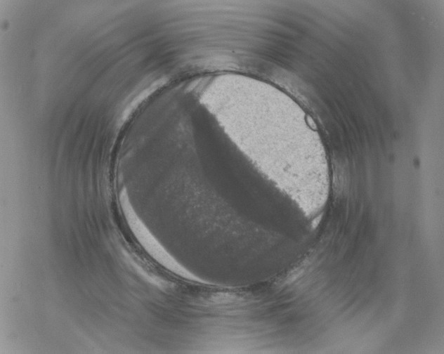 X0000068300390200605191948