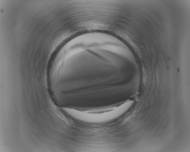 X0000068300391200605191948