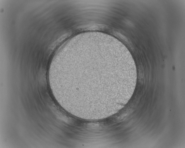 X0000068300394200605191948