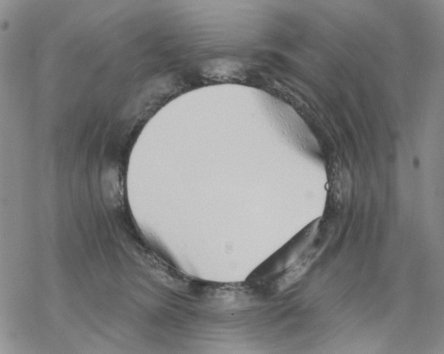 X0000068300420200605191948