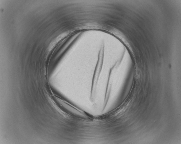 X0000068300437200605191947