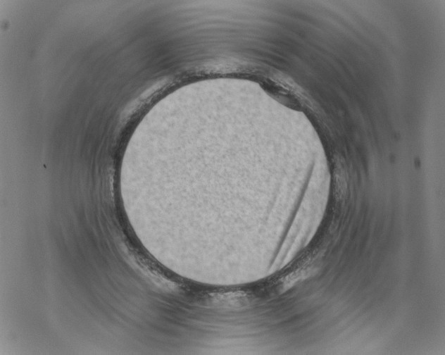 X0000068300446200605191947
