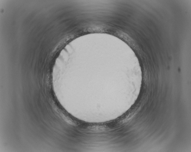 X0000068300449200605191947