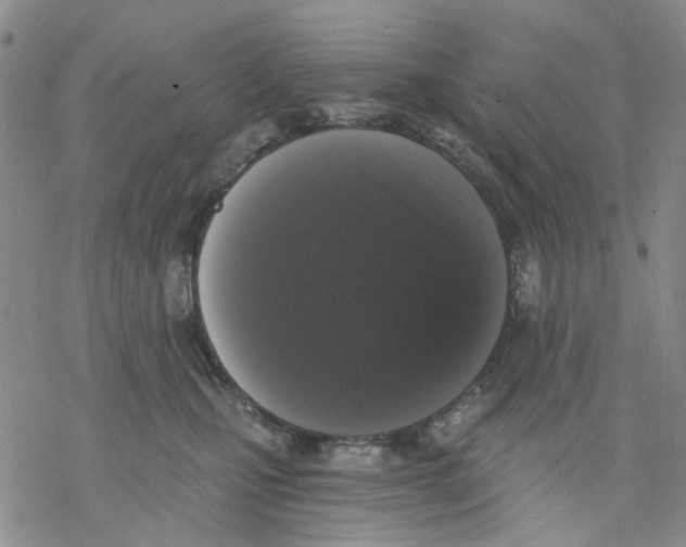 X0000068300471200605191948
