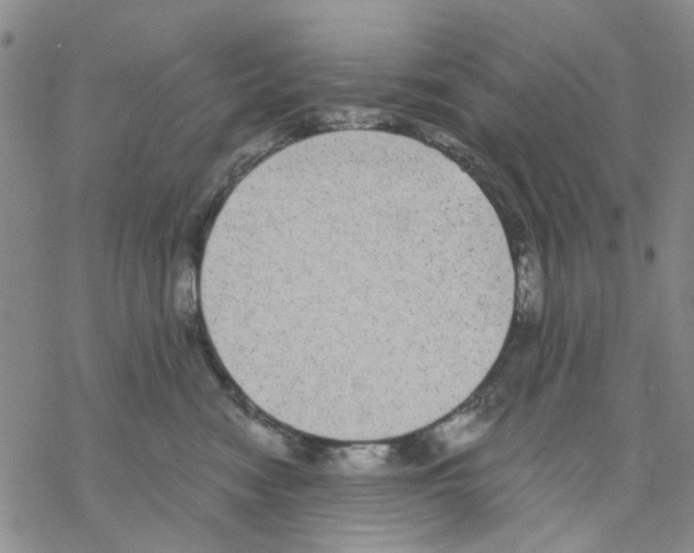 X0000068300474200605191948