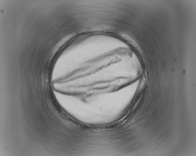 X0000068300483200605191947