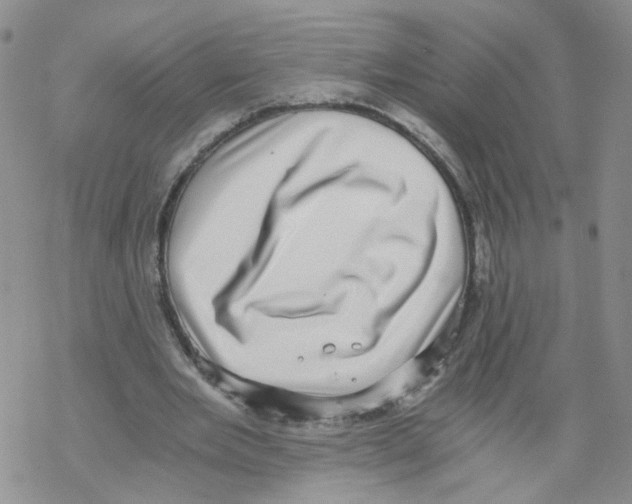 X0000068300485200605191947