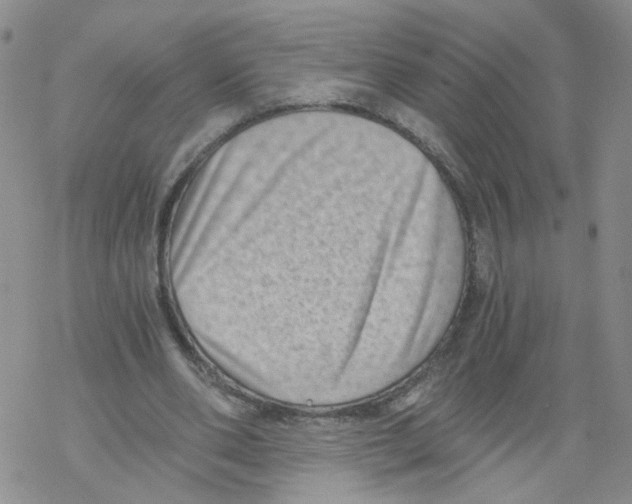 X0000068300486200605191947