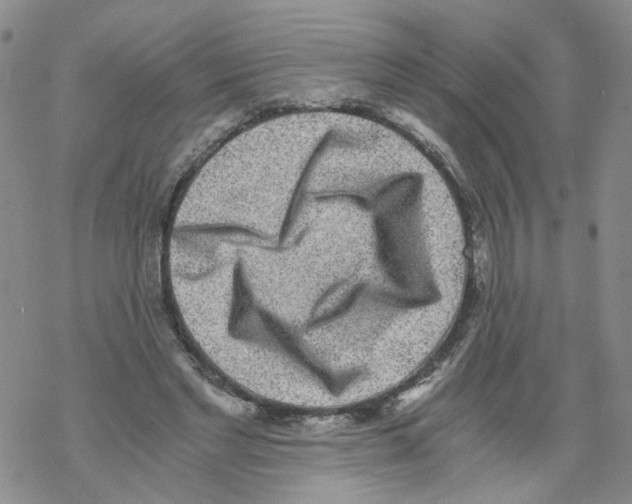 X0000068300493200605191947