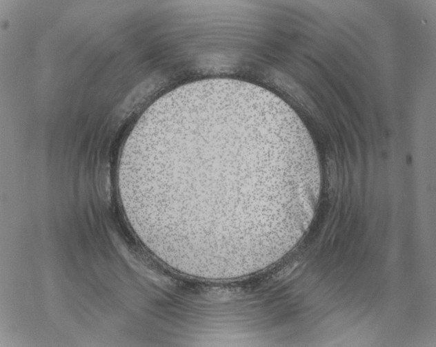 X0000068300494200605191947