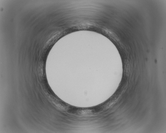X0000068300501200605191946