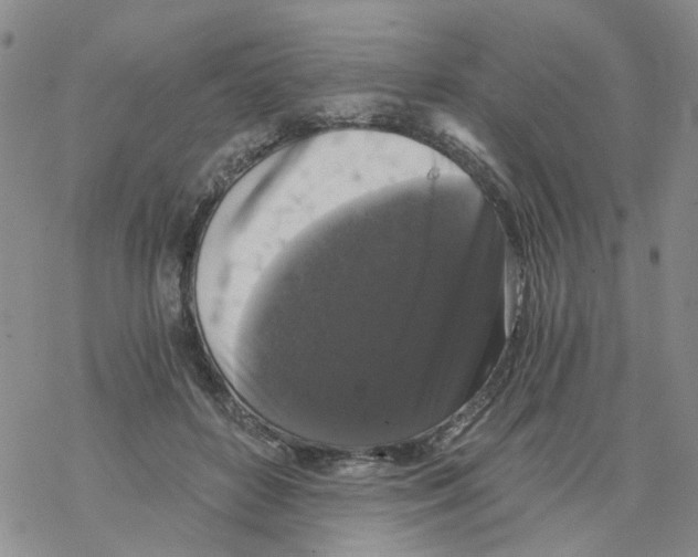 X0000068300504200605191946
