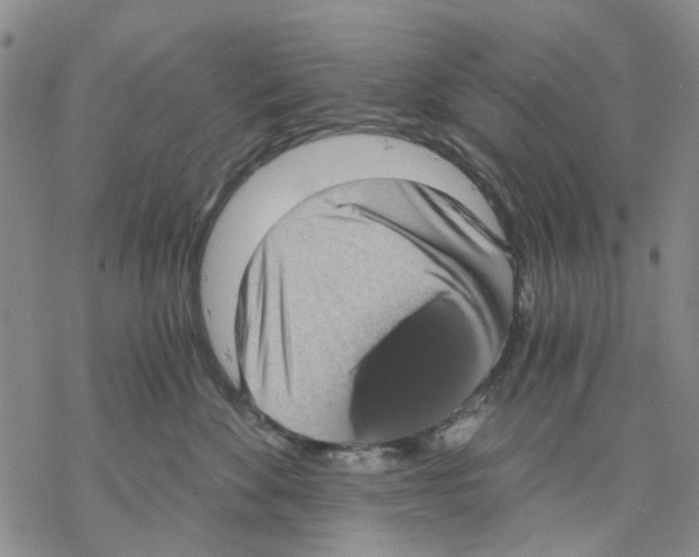 X0000068300524200605191946
