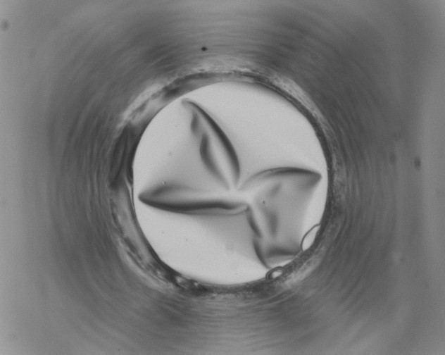 X0000068300530200605191945