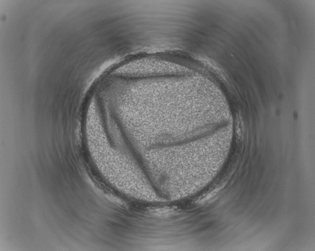 X0000068300540200605191945