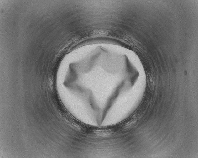 X0000068300556200605191946